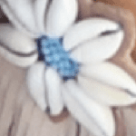 Cowrie Bead Flower Earrings-Nude